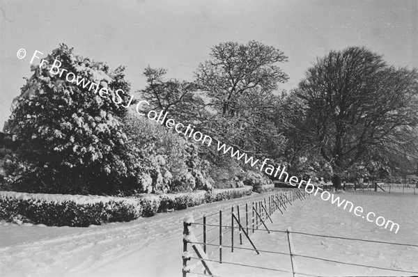 RATHFARNHAM CASTLE GROUNDS IN THE SNOW